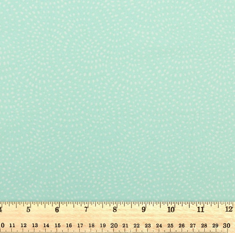 Dashwood Studio - Twist Mint - D080