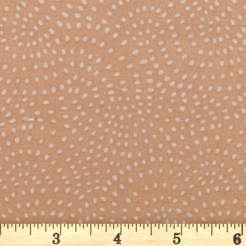 Dashwood Studio - Twist Toast - D075